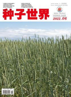 种子世界期刊